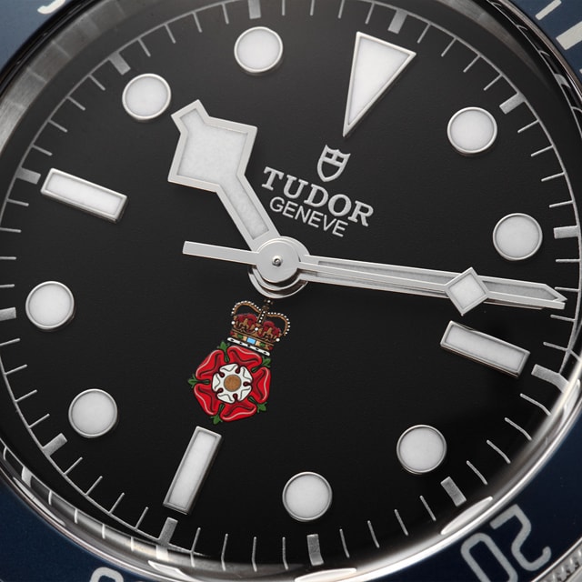 Tudor Heritage Black Bay 79220B - Royalty and Specialist Protecti Image 2